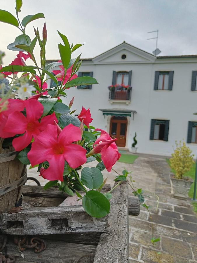 Agriturismo Villa Greggio Casalserugo 外观 照片