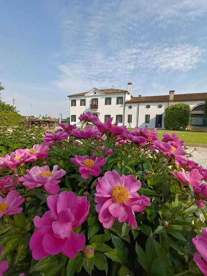 Agriturismo Villa Greggio Casalserugo 外观 照片