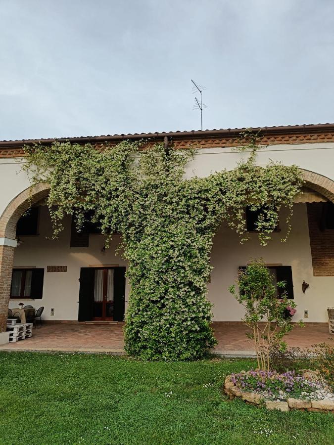Agriturismo Villa Greggio Casalserugo 外观 照片